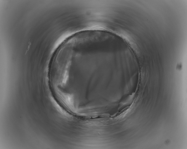 X0000097641422200803142036