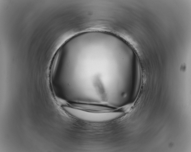 X0000097641423200803142036