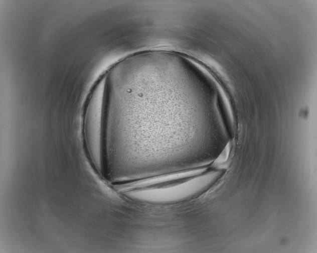 X0000097641424200803142036