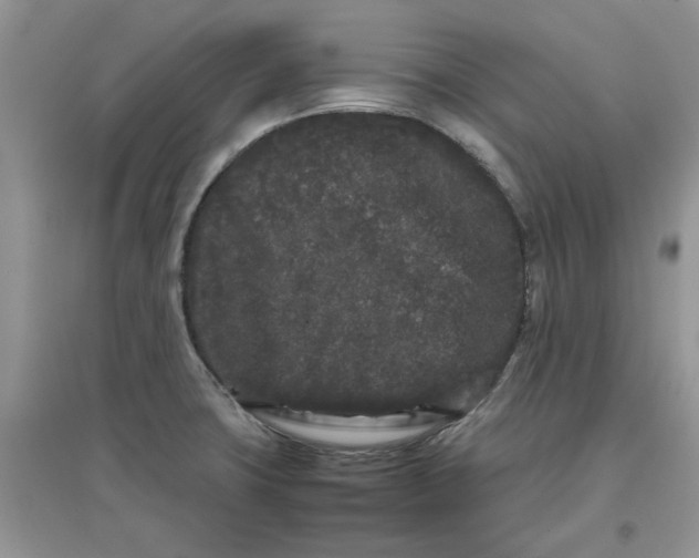 X0000097641427200803142036