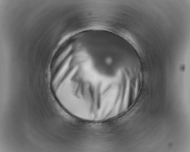 X0000097641428200803142036