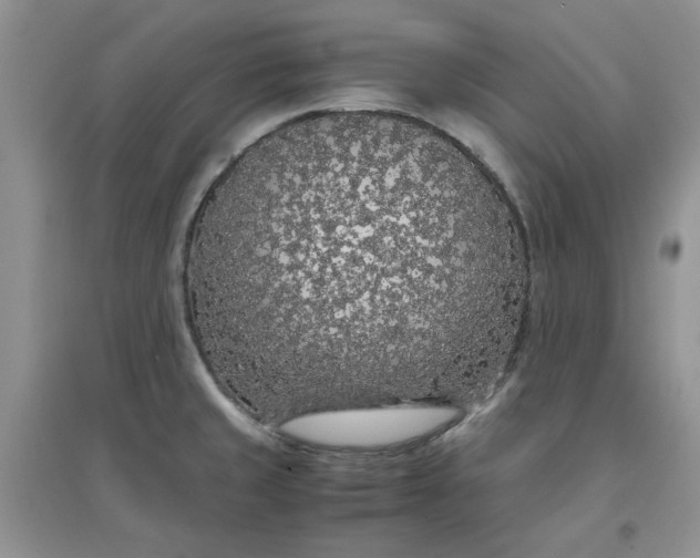 X0000097641429200803142036