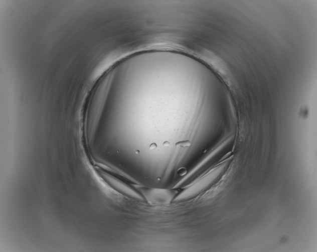 X0000097641430200803142036