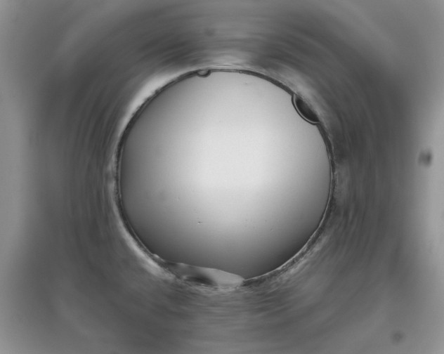 X0000097641432200803142036