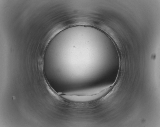 X0000097641433200803142036