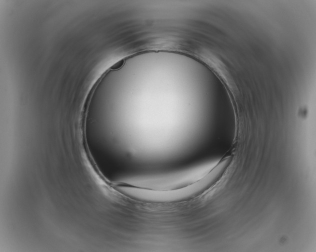 X0000097641434200803142037