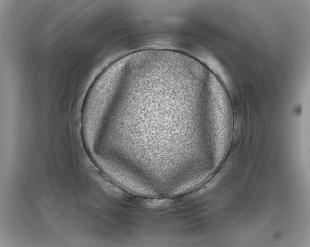 X0000097641435200803142037