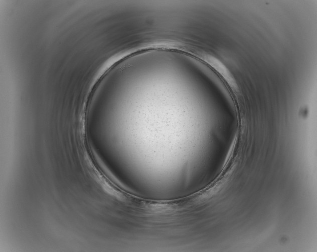 X0000097641436200803142037