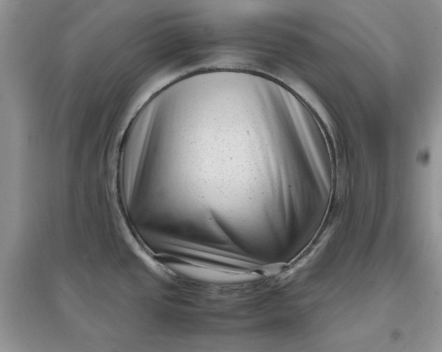 X0000097641437200803142037