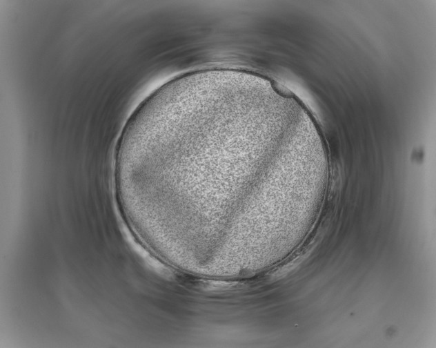 X0000097641439200803142037