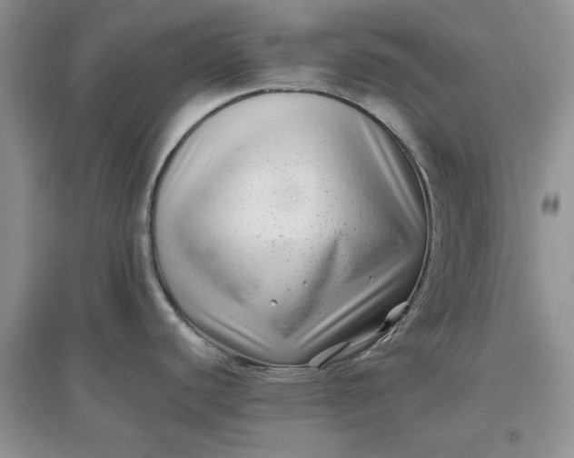 X0000097641440200803142037