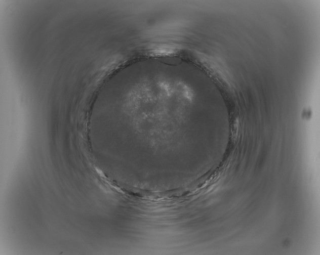 X0000097641441200803142036