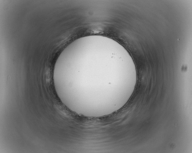 X0000097641442200803142036