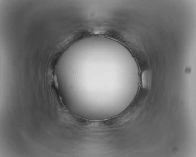 X0000097641443200803142036