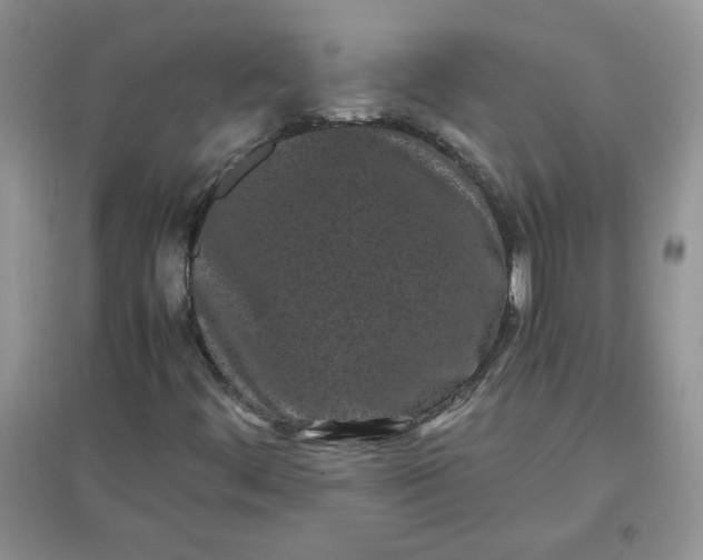 X0000097641444200803142036