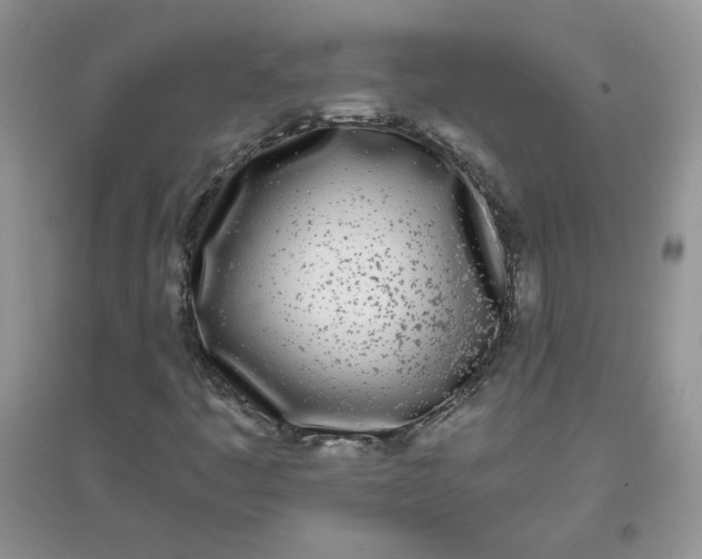 X0000097641445200803142036