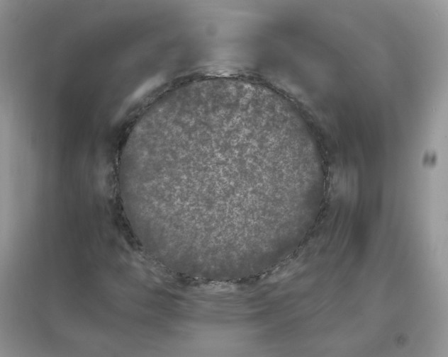 X0000097641446200803142036