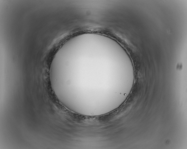 X0000097641447200803142036