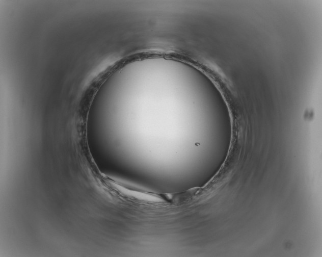 X0000097641448200803142036