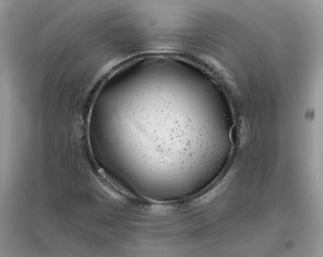 X0000097641449200803142036