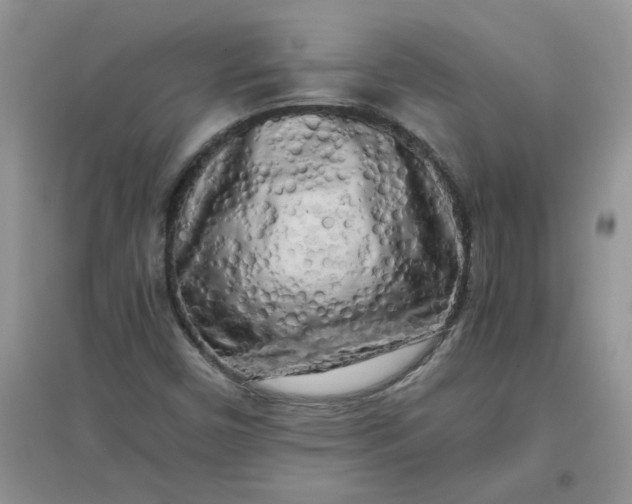 X0000097641450200803142036