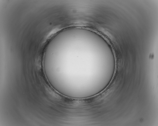 X0000097641451200803142036