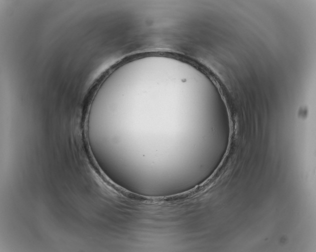 X0000097641452200803142036