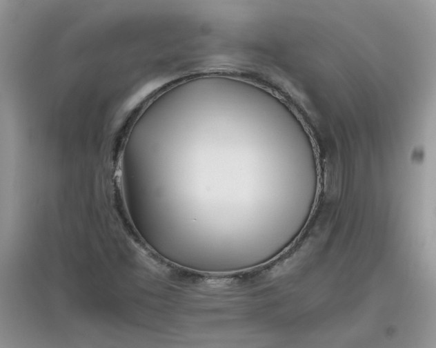 X0000097641453200803142036