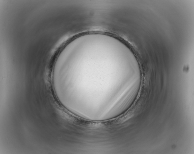 X0000097641454200803142036