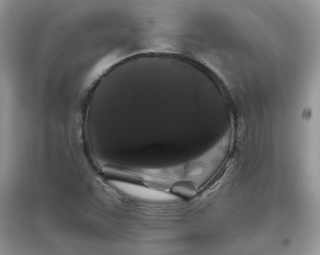 X0000097641455200803142036