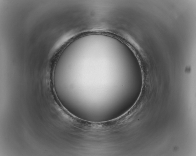 X0000097641456200803142036