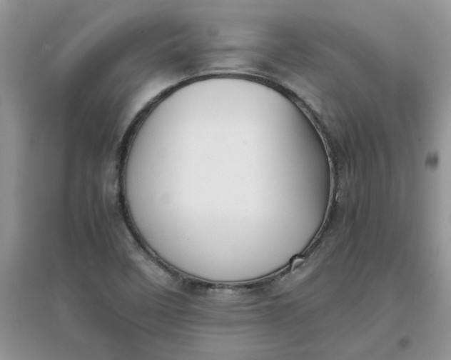 X0000097641458200803142036