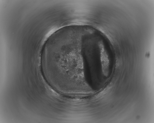 X0000097641459200803142036