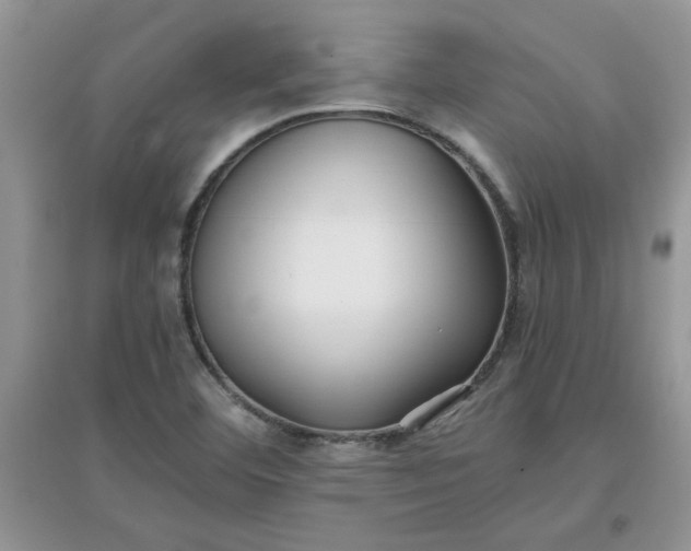 X0000097641460200803142035