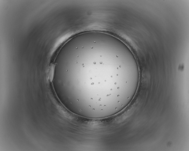 X0000097641461200803142035