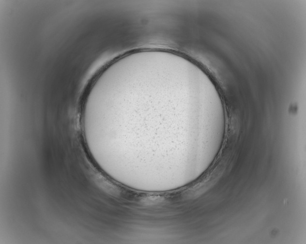 X0000097641462200803142035