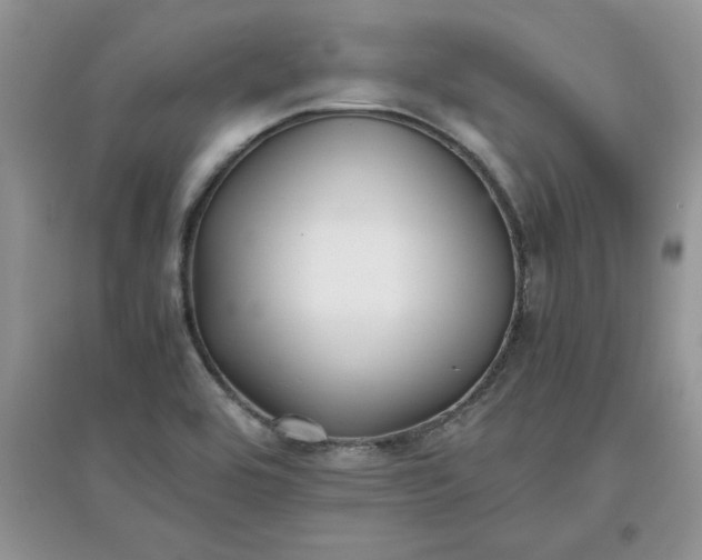 X0000097641464200803142035