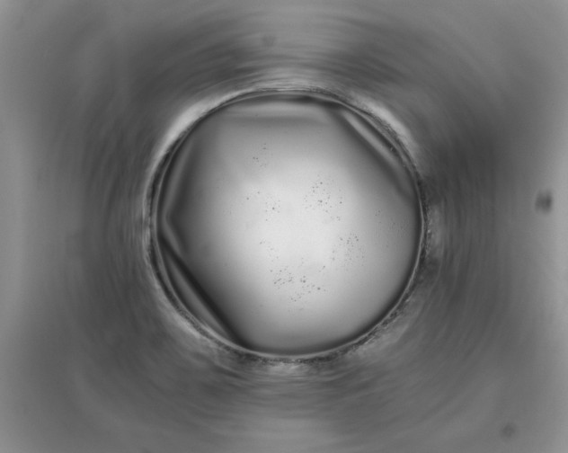 X0000097641467200803142035