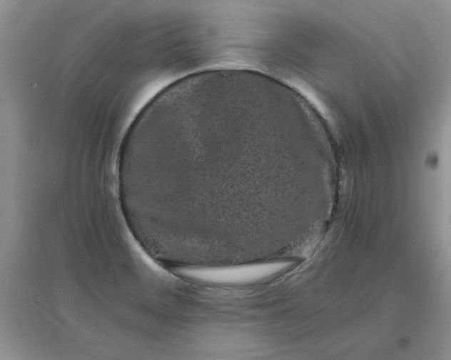 X0000097641468200803142035