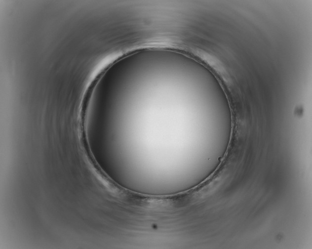 X0000097641469200803142035