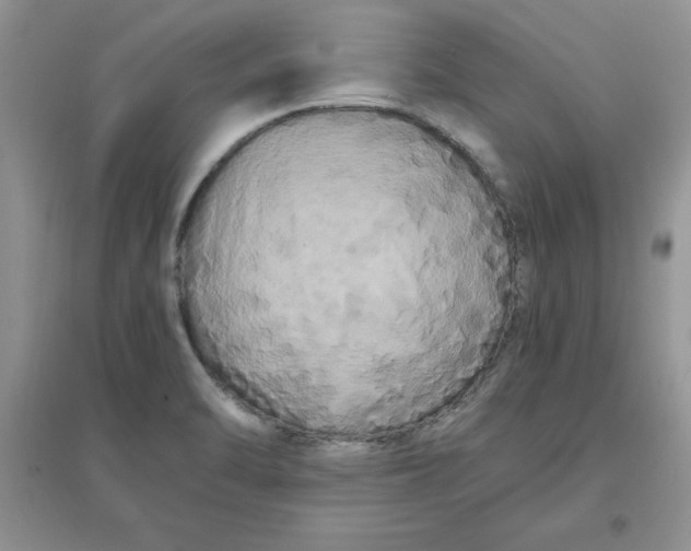 X0000097641470200803142035