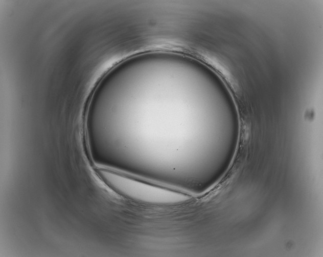 X0000097641471200803142035