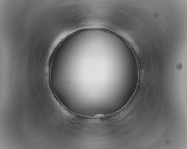 X0000097641472200803142035