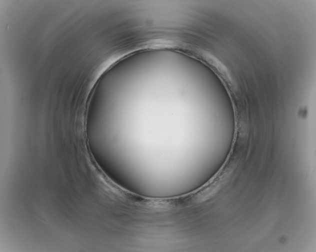 X0000097641473200803142035