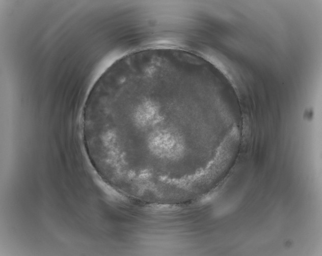 X0000097641474200803142035