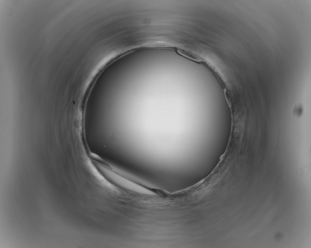 X0000097641476200803142035