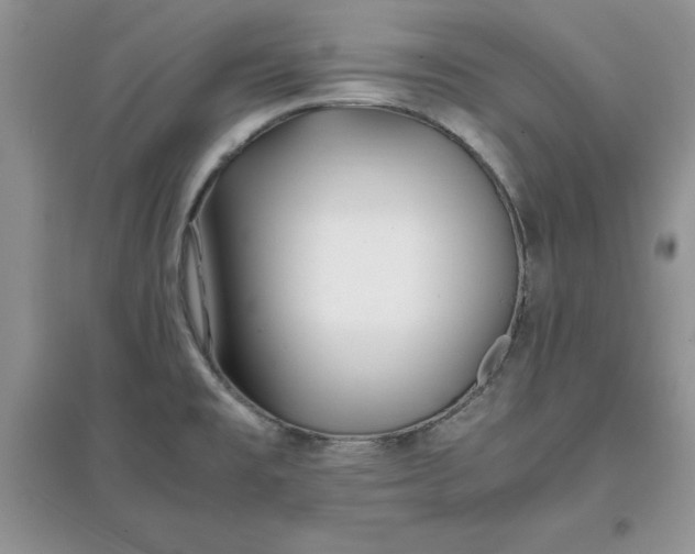 X0000097641477200803142035