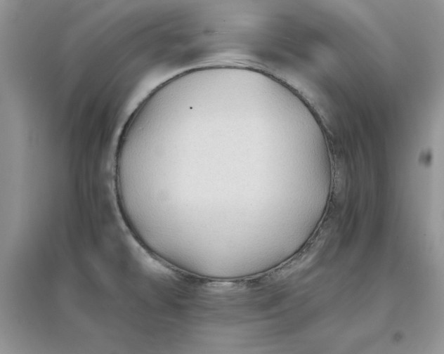 X0000097641478200803142035