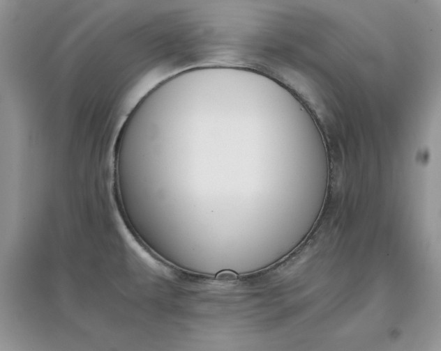 X0000097641479200803142035