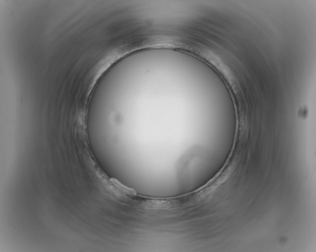 X0000097641481200803142035